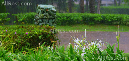 Banyan Tree Bintan 4